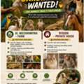 Animal Care Worker Wanted