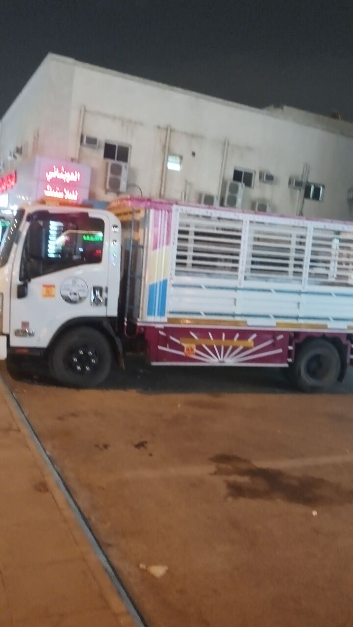 Riyadh, Delivery, MOVERS Packers Cleaners &pest Control Total Solution With Best Price