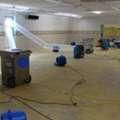 Experienced Mold Remediation Company In Calgary For Healthier Indoor Spaces