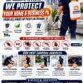 KEEP YOUR SPACE PEST-FREE & SAFE FAST, SAFE & EFFECTIVE PEST CONTROL