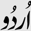 Looking For Pakistani Urdu Teacher (female Only)