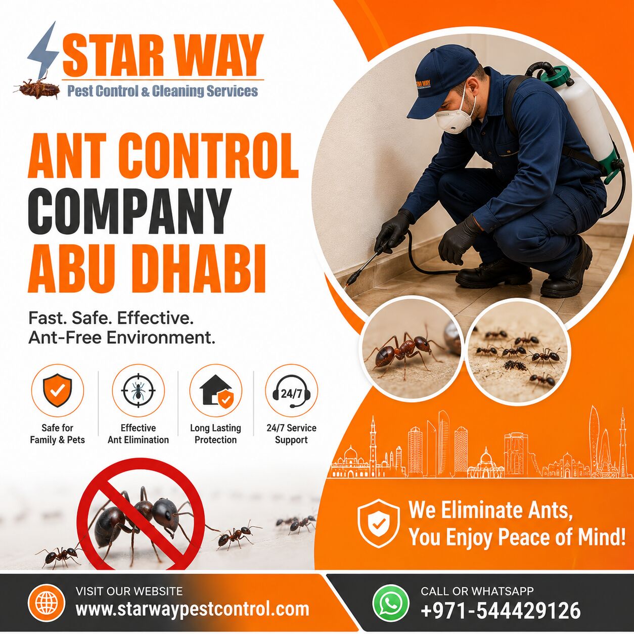 Abu Dhabi, Pest Control, Stop Ant Infestations With A Trusted Ant Control Company In Abu Dhabi &ndash; Call 971 544429128