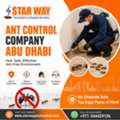 Stop Ant Infestations With A Trusted Ant Control Company In Abu Dhabi &ndash; Call 971 544429128