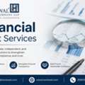 Professional Financial Auditing Service For Financial Accuracy