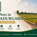 Buy Plots In Bahadurgarh &ndash; Find The Right Property