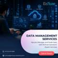 Secure Expert Data Management Services From EnFuse Solutions