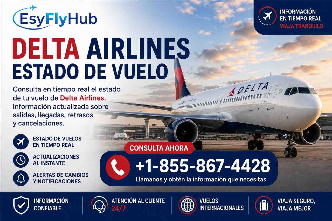 New York, Travel, ¿Cómo Revisar Los Horarios De Un Vuelo De Delta Airlines?