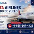 ¿Cómo Revisar Los Horarios De Un Vuelo De Delta Airlines?