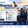 ¿Qué Equipaje Puedes Llevar En Un Vuelo De Lufthansa?