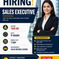 Sales Executive
