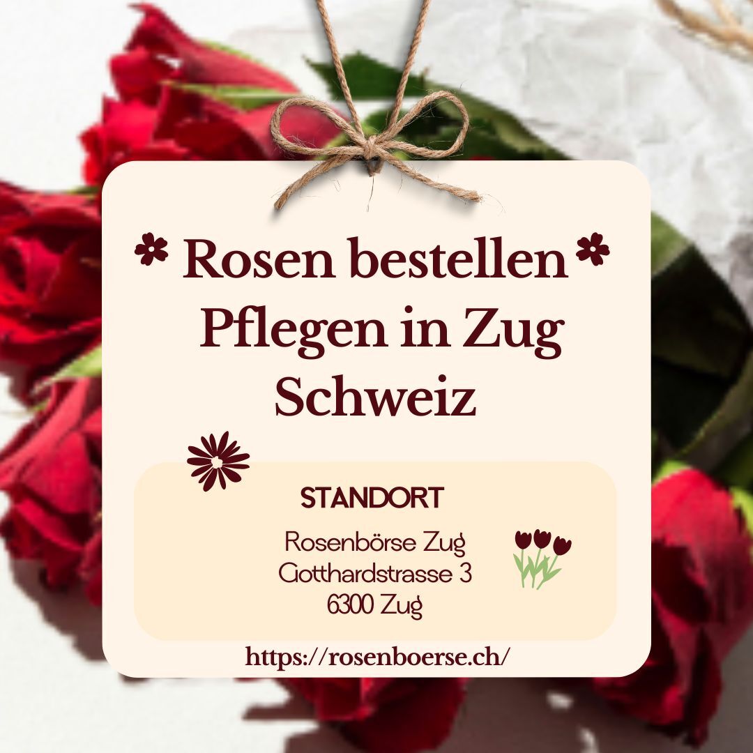 Geneva, Farm & Garden, CHF 5,  Rosen Bestellen In Zug &ndash; Verschenke Von Herzen Liebe Und Freude Mit Stilvollen Rosen