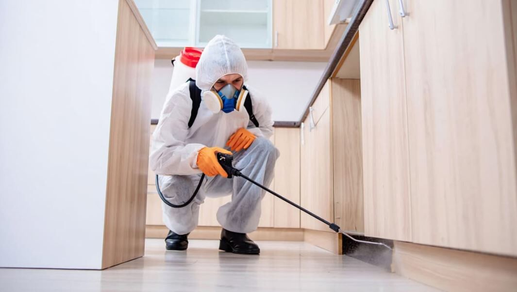 Karachi, Pest Control, Pest Control Service