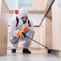 Pest Control Service