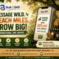 Message Wild Reach Miles With Promotional Sms Services