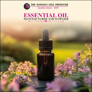 Mumbai, Health & Beauty Items, INR 5694235543,  Essential Oil Manufacturer And Supplier