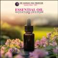 INR 5694235543,  Essential Oil Manufacturer And Supplier