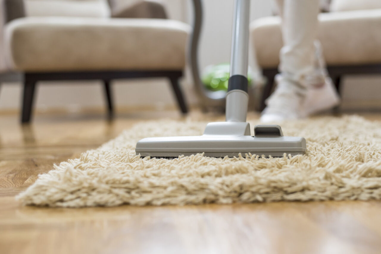 Sydney, Cleaning, Professional Carpet Cleaning Services In Bathurst For Fresh, Spotless Carpets
