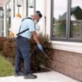 Wasp Nest Removal Calgary For Fast & Safe Service