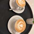 Barista Or Restaurant Captain