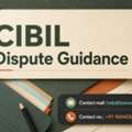 CIBIL Dispute Guidance For Credit Report Error Resolution