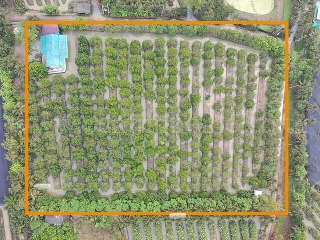 Bangkok, Real Estate For Sale, THB 14700000,  6 BR,  3960 Sq. Feet,  ขายด่วน ที่ดิน พร้อมสิ่งปลูกสร้า