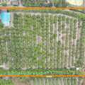 THB 14700000,  6 BR,  3960 Sq. Feet,  ขายด่วน ที่ดิน พร้อมสิ่งปลูกสร้า