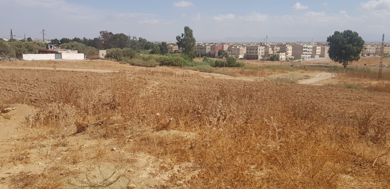 Casablanca, Farm & Garden, MAD 3490800,  Titled Land For Sale In Fez - 2,909 M² - Route De Meknes