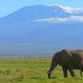 Adventures Abroad &mdash; Travel Trends Of 2026, Solved