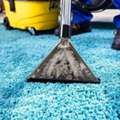 Why Professional Carpet Steam Cleaning Is Worth It?