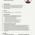 Sales Executive