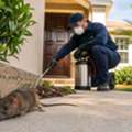 Reliable Rodent Control Irvine For A Pest Free Home