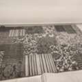 SAR 150,  Rug Carpet سجادة