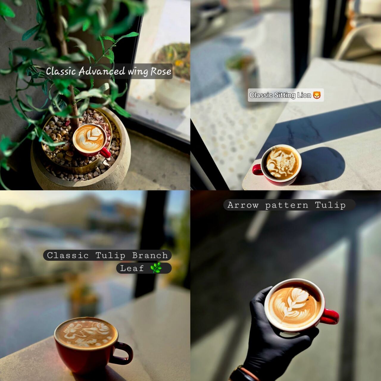 Dammam, Job Seekers, Head Barista/Barista Trainer