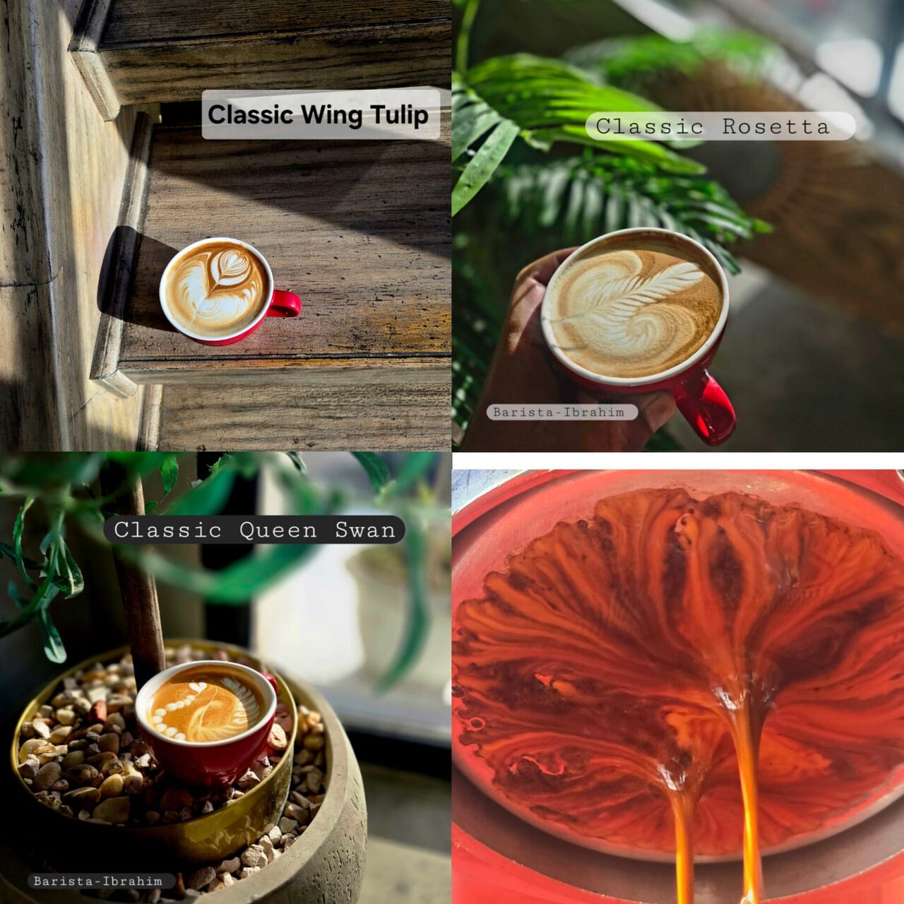 Dammam, Job Seekers, Head Barista/Barista Trainer