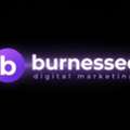 BurnesSEO