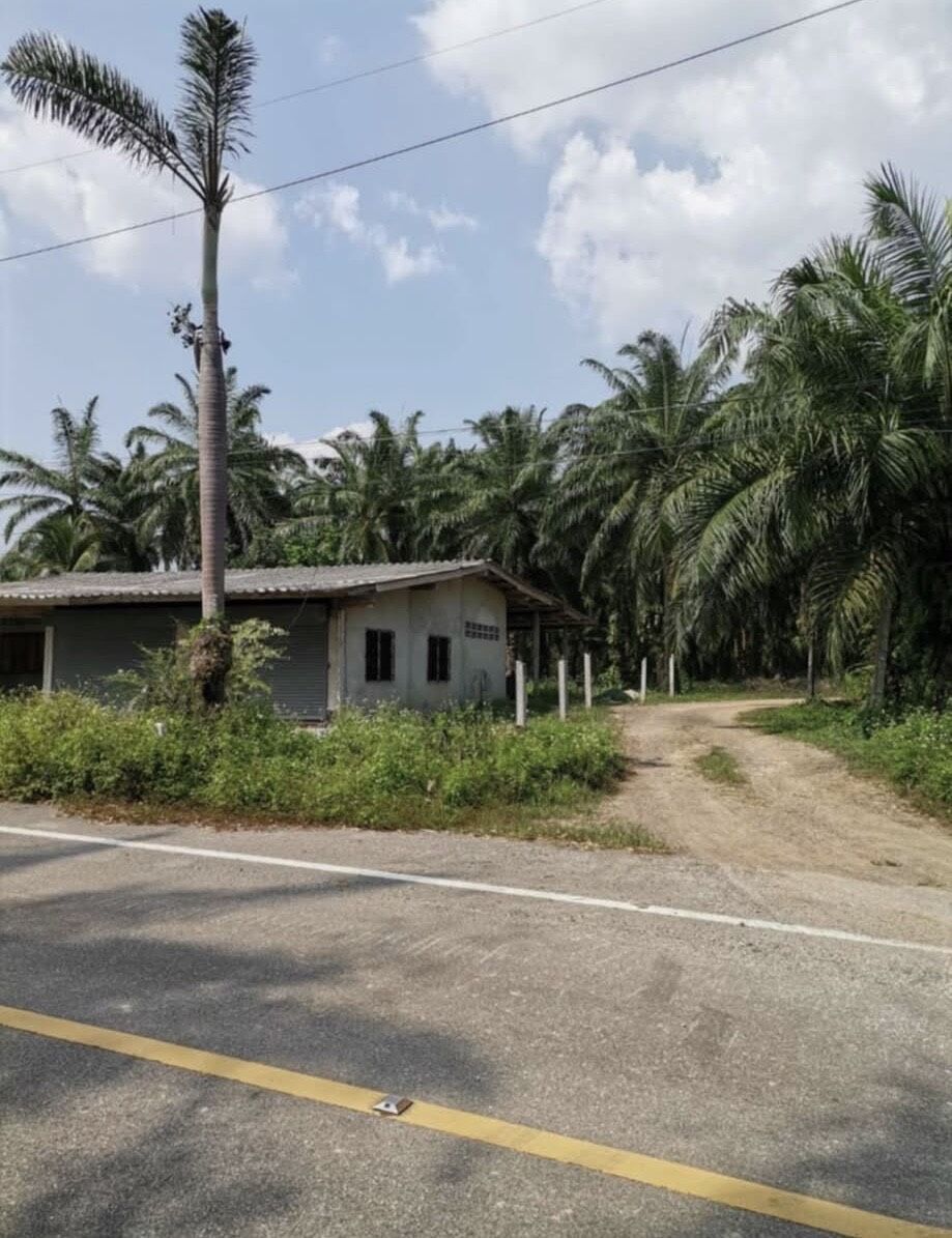 Bangkok, Real Estate For Sale, THB 3500000,  6 BR,  2498 Sq. Feet,  ขายที่ดินสวนปาล์มพร้อมบ้าน ทำเลด