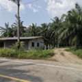 THB 3500000,  6 BR,  2498 Sq. Feet,  ขายที่ดินสวนปาล์มพร้อมบ้าน ทำเลด