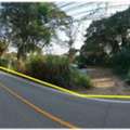 THB 27931000,  6 BR,  1643 Sq. Feet,  ขายที่ดินสันทราย 4 ไร่ แปลงมุม ติดถ