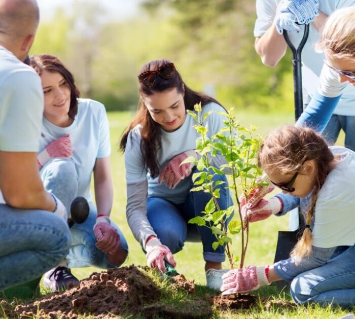 Sydney, Health, Book Social Community Participation Support