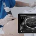 X Ray And Ultrasound Etobicoke