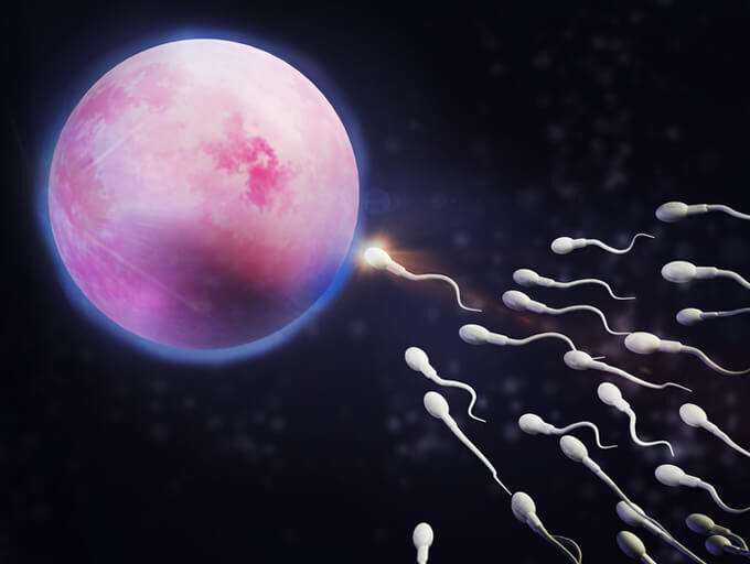 Abu Dhabi, Health, Advanced Fertility Doctor In Abu Dhabi For Reproductive Care