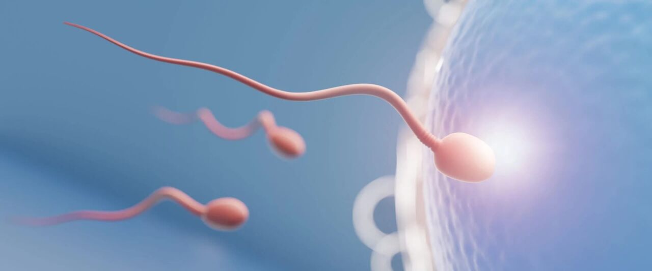 Abu Dhabi, Health, Advanced Fertility Doctor In Abu Dhabi For Reproductive Care