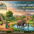 Beyond The Forts: Discover Jaipur&rsquo;s Gentle Giants At EleJungle Sanctuary