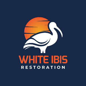 New York, Construction, White Ibis Restoration