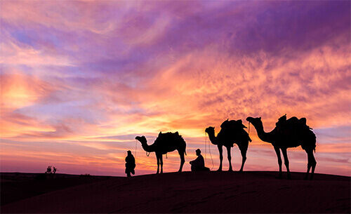 Dubai, Travel, Luxury Trip To Dubai With Private Tours, Premium Travel And Experiences