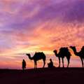 Luxury Trip To Dubai With Private Tours, Premium Travel And Experiences