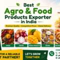 Best Agro & Food Products Exporter In India &ndash; GLEE IMPEX