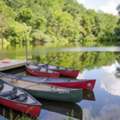 Overnight Summer Camp Program &ndash; Paradise Farm Camps | Downingtown, PA