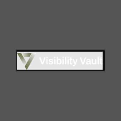 New York, Business, Visibility Vault: Digital Marketing & Online Reputation Management