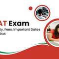 How To Prepare For IMAT Exam?